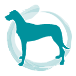 Therapieangebot Therapieangebot